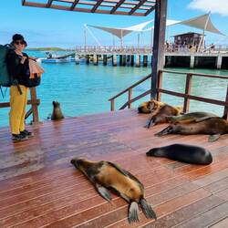 Abschied von Isabela 👋🏼