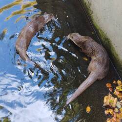 Von uns gab es keinen Fisch, auch wenn sich das die beiden gewünscht hätten