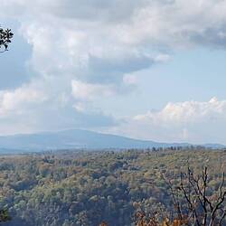 Blick vom Hexentanzplatz zum Brocken