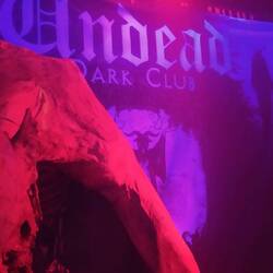 Dark Club "Undead" mit Geisterbahndeko...