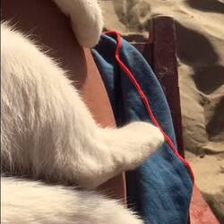 Angekommen im Paradies