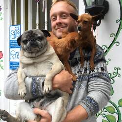 Paul und die Hostelwuffis