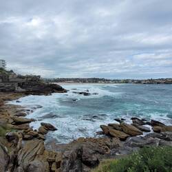 Bondi to Congee walk