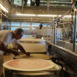 Käser bei der Arbeit