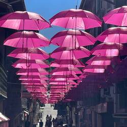 Cancer promotion for month of October