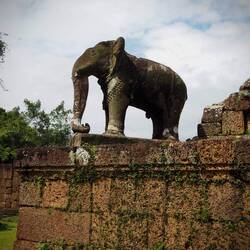 Elephant statue, East Mebon.