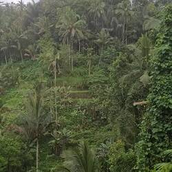 Auch bei Regen so toll🥰