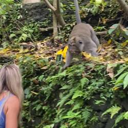A lady who broke all the rules. Selfie, camera sitting alone, screaming & trying to get camera back