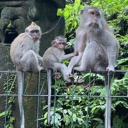 Beautiful family!