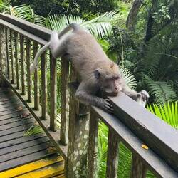 He found a plastic empty hand sanitzer bottle - it was quite a treasure