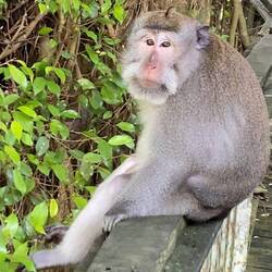 Loved his beautiful eyes.