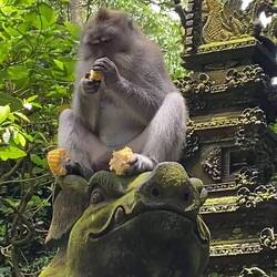 Corn in both feet and one hand! My kind of eater.