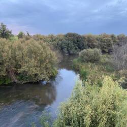 Beautiful river just out of Grimaldi