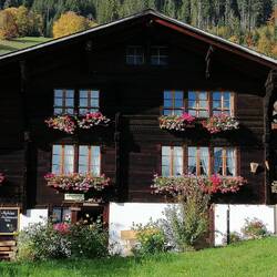 Hier gibt es leckeren Käse und Rinderwurst.