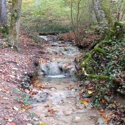 Bachlauf im Brunnental