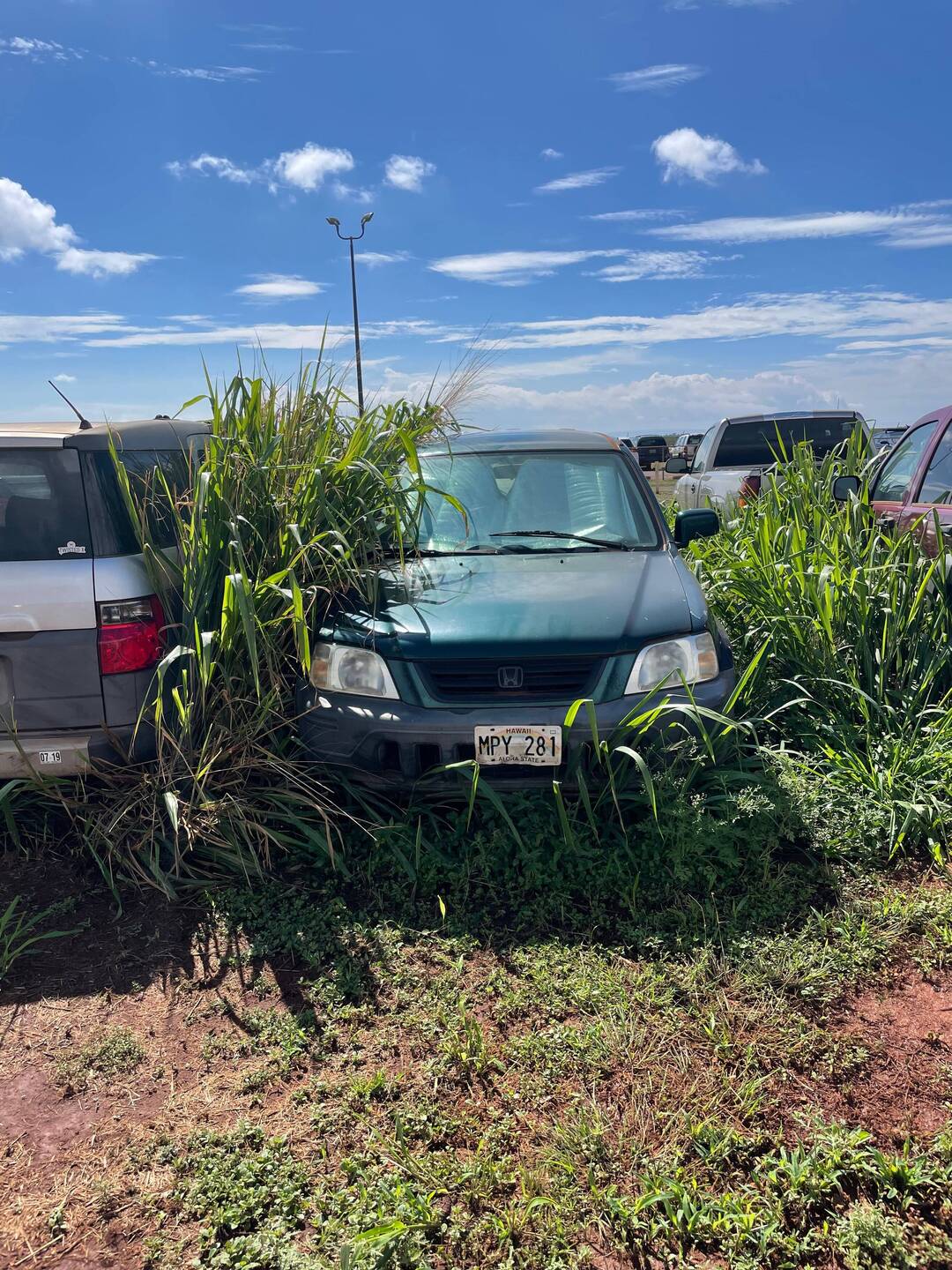 Overnight Parking the Molokai way
