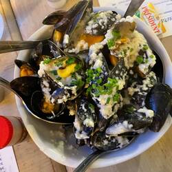 Mussels - so delicious that I ate most of the bowl