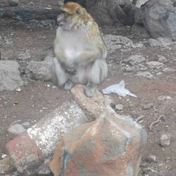 Wo bleiben die Futterspenden?