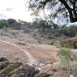 Pathway that was once a Roman Road