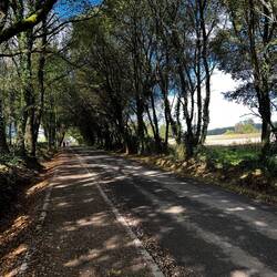 These shady stretches are always a welcome respite from the sun.