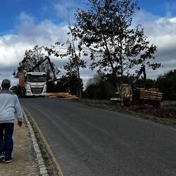 It was interesting to see that the recently cut logs are stripped of their bark before transport.