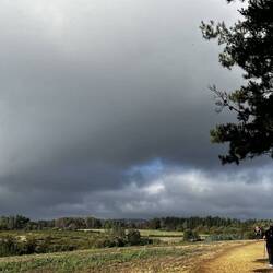 A welcome level bit on the Way.