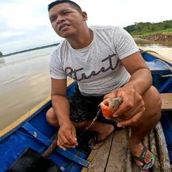 Max 1 - Piranha 0