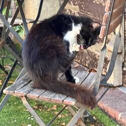 Saint-Jean Pied-de-Port