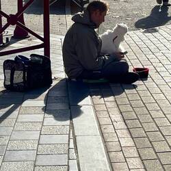 A guy begging with his cat in Wavre