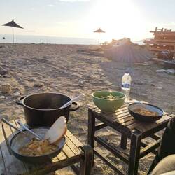 Putengeschnetzeltes mit Pilzen und Salat