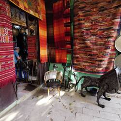 Der Blickfang, ein großer Löwe