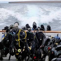 Ein guter Tag, um abzutauchen 🤿