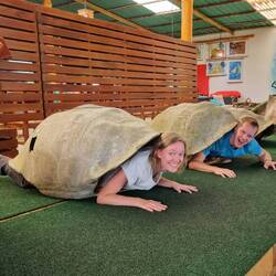 Passt doch super 😎