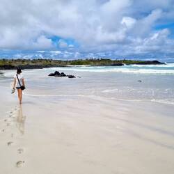 Paradiesischer Strand 🏝