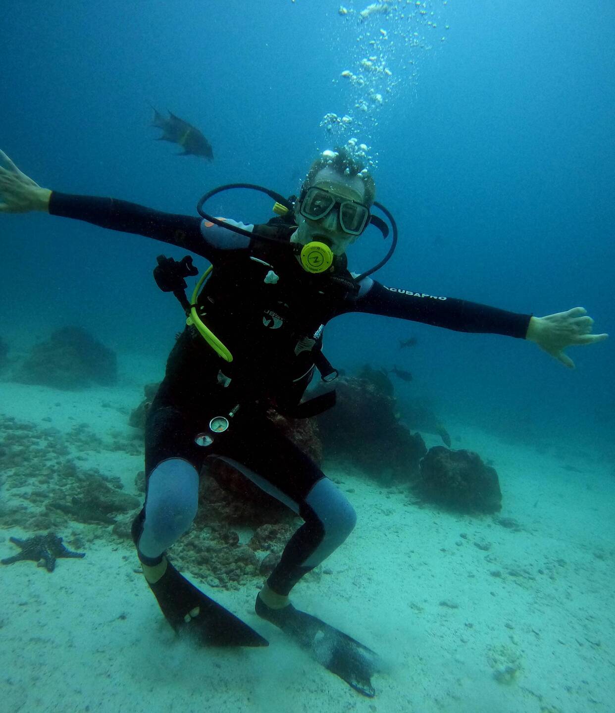 Unten im Meer 🐠