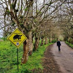Auf dem Weg zur Schildkröten-Farm im regnerischen Hochland 🌧
