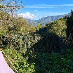 View from the albergue's backyard