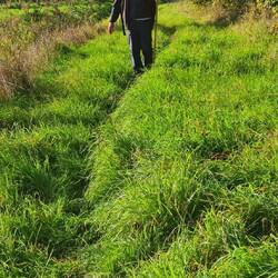 Singletrail am Rodebach!