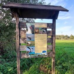 Im Hintergrund rechts eine Nisthilfe für Störche!