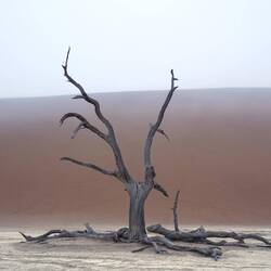 Sossusvlei, Parco nazionale di Namib-Naukluft. Namibia, 2022