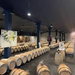 Barrel room was very impressive