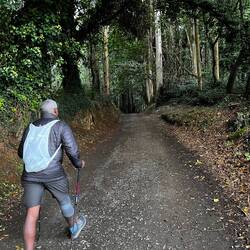 Entering a magical-feeling forested section.