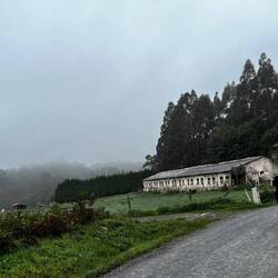 A farm building shrouded in morning fog.