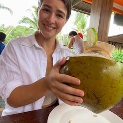 Huge coconuts
