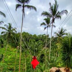 Jordan swinging - not her dress. They supply it.