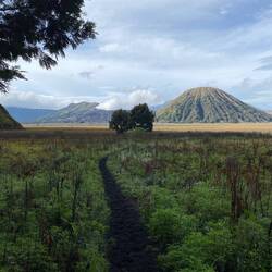 Am Fuße der Vulkane