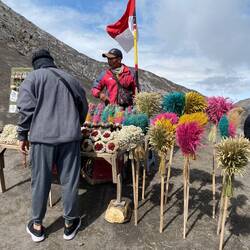 Insta-Foto-Blumenverkäufer 😂