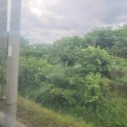 Auch hier wurde die Landschaft so schön grün🥰