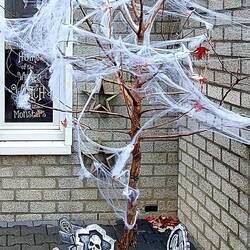 Überraschend viele Häuser waren schon geschmückt!😳