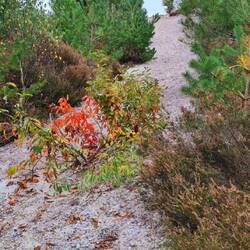 Es war genauso steil wie es hier scheint!